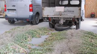 La Ferme de Sainte Marthe a rejoint Végécom, groupement de producteurs de la région angevine qui comptait jusqu’ici 6 adhérents. ©P. Fayolle